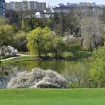 Agencje nieruchomości Warszawa Koło: jak tam działają biura nieruchomości?