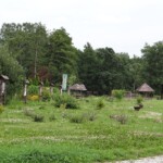 Agencje nieruchomości Warszawa Kępa Zawadowska: sprzedaż domu nad Wisłą