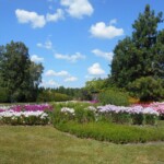 Agencje nieruchomości Warszawa Wilanów Powsin – sprzedaż domu bez kłopotu