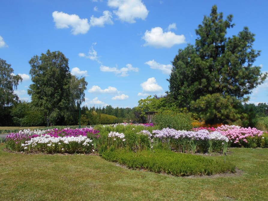 Agencje nieruchomości Warszawa Wilanów Powsin – sprzedaż domu bez kłopotu