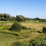 Agencje nieruchomości Warszawa Wilanów Powsinek – domy wśród zieleni?