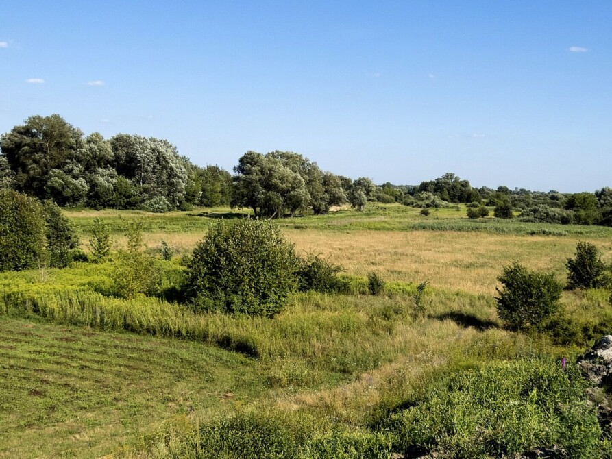 Agencje nieruchomości Warszawa Wilanów Powsinek – domy wśród zieleni?